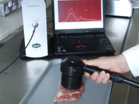 Near Infrared Reflectance spectroscopy (NIR) measurement of beef samples